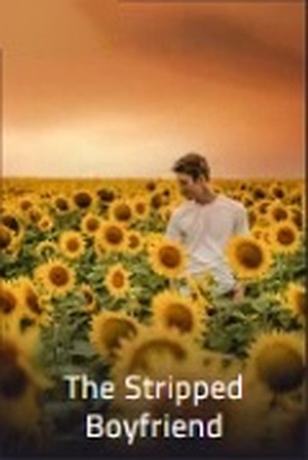 The Stripped Boyfriend